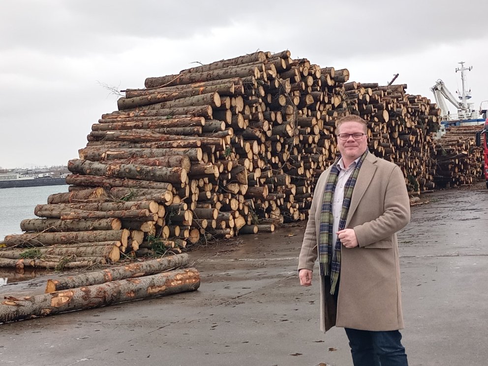 Skógarvið skipað út frá Hafnarfirði