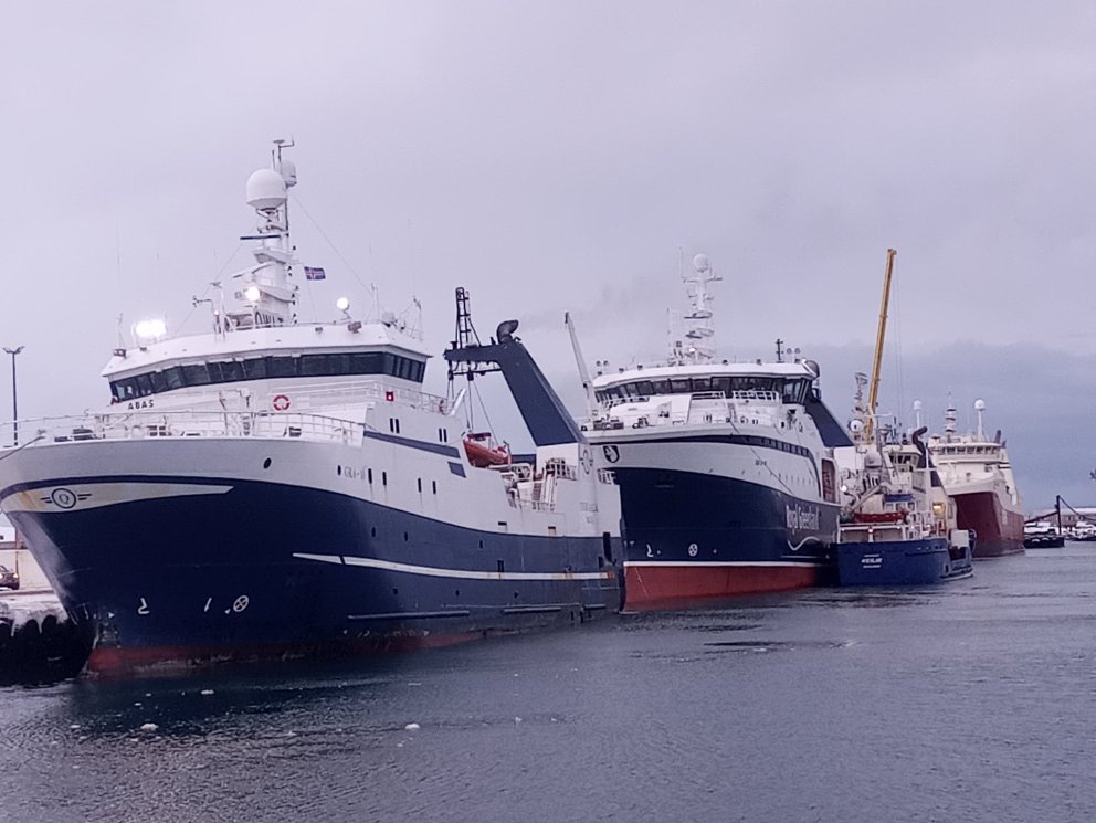 Fjórir togarar á Hvaleyrarbakka og olíuskipið Kyndill utaná Sisimiut.