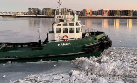 Vetrarhörkur í höfninni