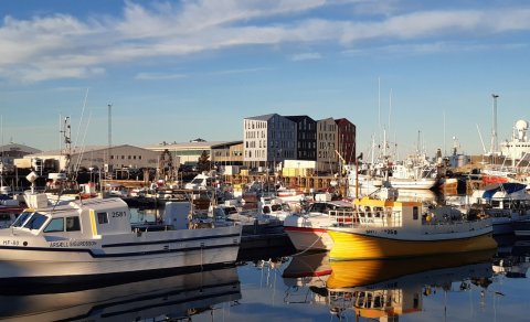 Þéttskipað í Flensborgarhöfn