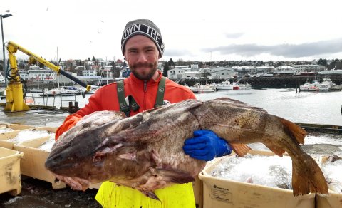Þeir voru vænir þorskanir sem komu á land í morgun.