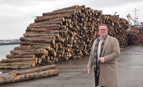 Skógarvið skipað út frá Hafnarfirði